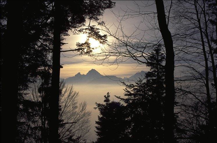 Blick auf den Watzmann